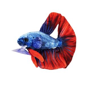 Comprar peluche de pez betta online