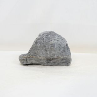 Roca Wild Rhino