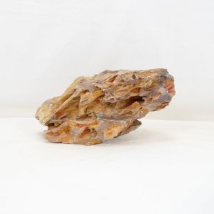 Roca dragón pequeña-mediana con agujeros decoración natural acuarios en tienda.pzes.es
