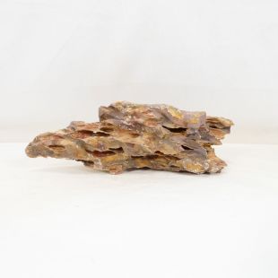 Roca dragón pequeña-mediana con agujeros decoración natural acuarios en tienda.pzes.es
