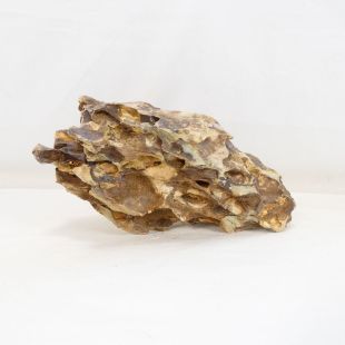 Roca dragón pequeña-mediana con agujeros decoración natural acuarios en tienda.pzes.es
