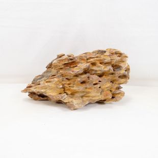Roca dragón pequeña-mediana con agujeros decoración natural acuarios en tienda.pzes.es