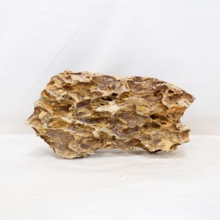 Roca dragón pequeña-mediana con agujeros decoración natural acuarios en tienda.pzes.es
