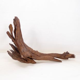 Comprar online madera cuerno mediana y alargada para acuario en tienda online Pzes Alcorcón
