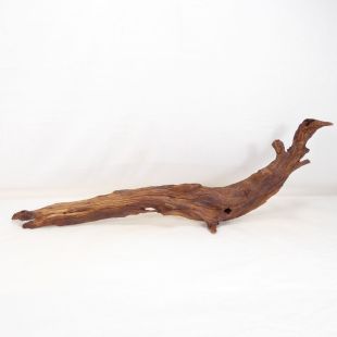 Comprar online madera cuerno mediana y alargada para acuario en tienda online Pzes Alcorcón