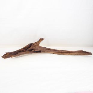 Comprar online madera cuerno mediana y alargada para acuario en tienda online Pzes Alcorcón