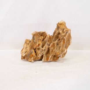 Roca dragón pequeña-mediana con agujeros decoración natural acuarios en tienda.pzes.es