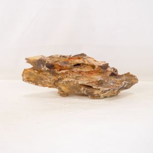 Roca dragón pequeña-mediana con agujeros decoración natural acuarios en tienda.pzes.es