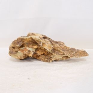 Roca dragón pequeña-mediana con agujeros decoración natural acuarios en tienda.pzes.es