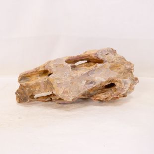 Roca dragón pequeña-mediana con agujeros decoración natural acuarios en tienda.pzes.es