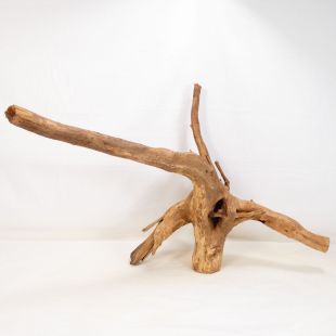 Comprar online madera cuerno pequeña para acuario en tienda online tienda peces Alcorcón, aquasistema.com