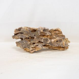 Roca dragón pequeña-mediana con agujeros decoración natural acuarios en tienda.pzes.es