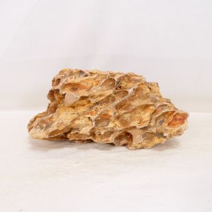Roca dragón pequeña-mediana con agujeros decoración natural acuarios en tienda.pzes.es