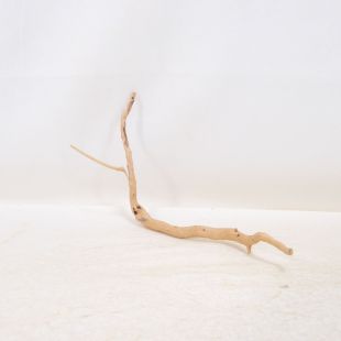 Comprar online raíz Slim pequeña con varias ramitas para acuarios en tienda Aquasistema Alcorcón.