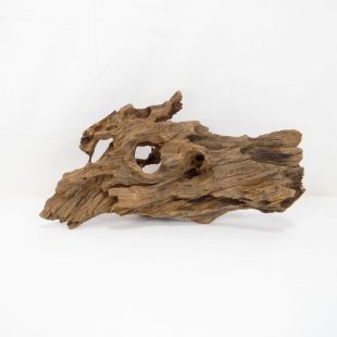 Madera Dragón para decorar acuarios en aquasistema.com: el mejor hardscape online para urnas y acuarios. Peces sanos, profesionalidad garantizada.