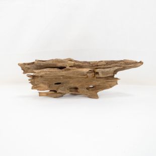 Madera Dragón para decorar acuarios en aquasistema.com: el mejor hardscape online para urnas y acuarios. Peces sanos, profesionalidad garantizada.