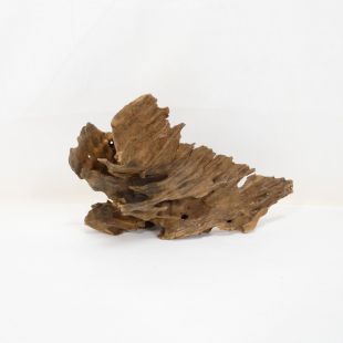 Madera Dragón para decorar acuarios en tienda peces Alcorcón, aquasistema.com: el mejor hardscape online para urnas y acuarios. Peces sanos, profesionalidad garantizada.