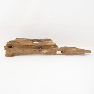 Madera Dragón para decorar acuarios en tienda peces Alcorcón, aquasistema.com: el mejor hardscape online para urnas y acuarios. Peces sanos, profesionalidad garantizada.