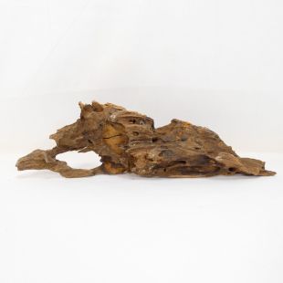 Madera Dragón para decorar acuarios en tienda peces Alcorcón, aquasistema.com: el mejor hardscape online para urnas y acuarios. Peces sanos, profesionalidad garantizada.