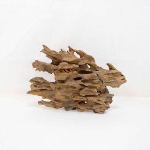 Madera Dragón para decorar acuarios en tienda peces Alcorcón, aquasistema.com: el mejor hardscape online para urnas y acuarios. Peces sanos, profesionalidad garantizada.