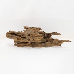 Madera Dragón para decorar acuarios en tienda peces Alcorcón, aquasistema.com: el mejor hardscape online para urnas y acuarios. Peces sanos, profesionalidad garantizada.
