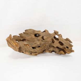 Madera Dragón para decorar acuarios en tienda peces Alcorcón, aquasistema.com: el mejor hardscape online para urnas y acuarios. Peces sanos, profesionalidad garantizada.