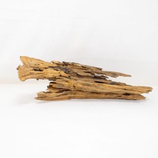 Madera Dragón para decorar acuarios en tienda peces Alcorcón, aquasistema.com: el mejor hardscape online para urnas y acuarios. Peces sanos, profesionalidad garantizada.