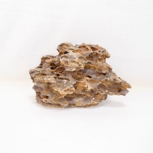 Roca dragón pequeña-mediana con agujeros decoración natural acuarios en tienda.pzes.es