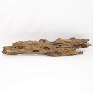 Madera Dragón para decorar acuarios en tienda peces Alcorcón, aquasistema.com: el mejor hardscape online para urnas y acuarios. Peces sanos, profesionalidad garantizada.