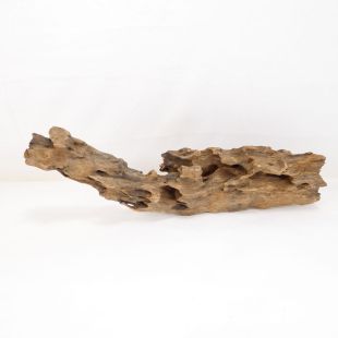 Madera Dragón para decorar acuarios en tienda peces Alcorcón, aquasistema.com: el mejor hardscape online para urnas y acuarios. Peces sanos, profesionalidad garantizada.
