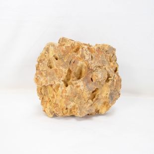 Roca dragón pequeña-mediana con agujeros decoración natural acuarios en tienda.pzes.es