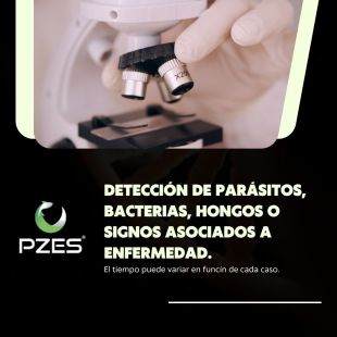 Diagnóstico