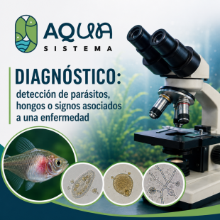 Diagnóstico