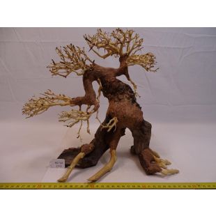 comprar online tienda acuarios y peces bonsáis grandes decoración