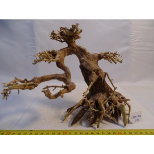 árbol en el acuario, hacer paisaje acuatico, el árbol bonsai