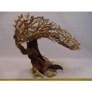 comprar online tienda acuarios y peces bonsáis grandes decoración