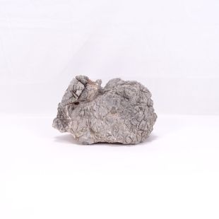 comprar online roca Amelie para decorar acuarios