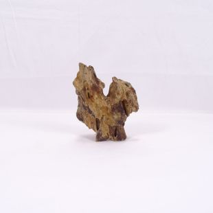 Comprar roca Dragón pequeña-mediana con agujeros para decoración natural acuarios en tienda de peces especializada, Pzes Alcorcón.