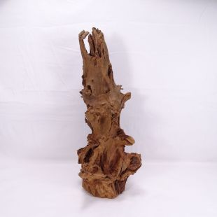 Comprar online madera mangrove grande para decorar acuarios en tienda online de peces y acuarios especializada: Pzes Alcorcón.