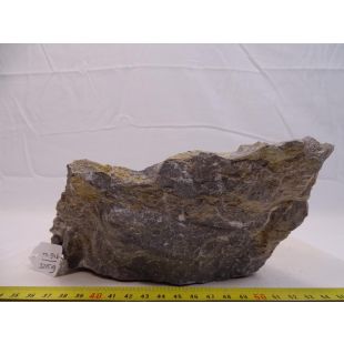 pzes online Alcorcón: tienda especializada envíos rápidos peces, rocas, plantas, material acuarios