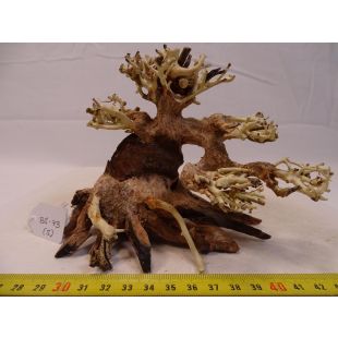 comprar bonsai pequeño para acuario en tienda online acuarios, peces, con envíos rápidos. Pzes Alcorcón 