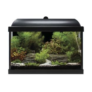 kit básico de acuario ICA Aqualed Pro (25 litros)