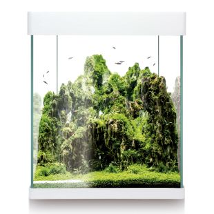 Kit Nano Aqualed  (30 litros) comprar nano acuario online