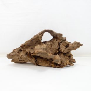 Madera Dragón para decorar acuarios en tienda.pzes.es: el mejor hardscape online para urnas y acuarios. Peces sanos, profesionalidad garantizada.