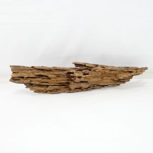 Madera Dragón para decorar acuarios en tienda.pzes.es: el mejor hardscape online para urnas y acuarios. Peces sanos, profesionalidad garantizada.