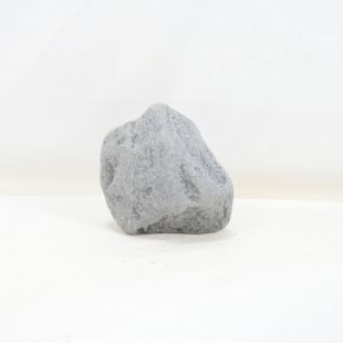 Roca Wild Rhino