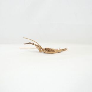 Comprar online raíz Slim pequeña con varias ramitas para acuarios en tienda Aquasistema Alcorcón.