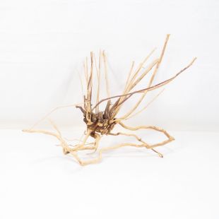 Raíz Light Wood mediana para decorar acuarios en tienda.pzes online, todo lo que tu acuario necesita.