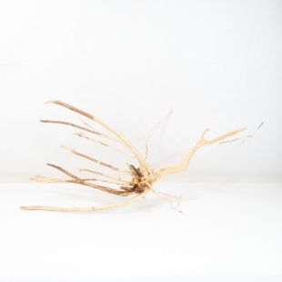 Raíz Light Wood pequeña para decorar acuarios en tienda.pzes online, todo lo que tu acuario necesita.