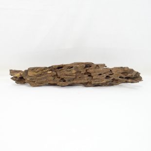 Comprar online madera dragón pequeña, bonita, decorativa y alargada con agujeros en tienda online de peces y acuarios especializada: Pzes Alcorcón.